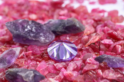 Full frame shot of pink petals on rocks