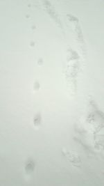 High angle view of footprints on snow covered field