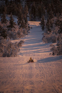 Scenic view of person sliding down slope