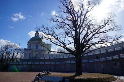 Bare tree in city against sky