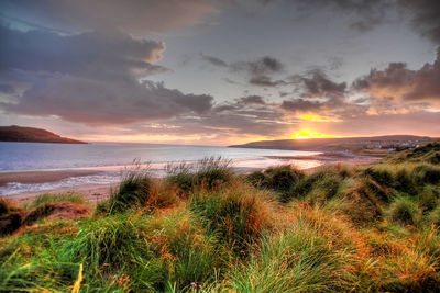 Scenic view of sea during sunset