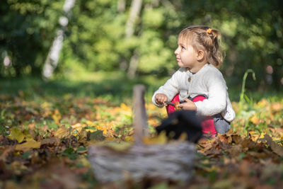 Adoarle  girl  plays in grass and autumn yellow leaves. toddler in a witch costume.  halloween