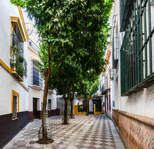 Footpath amidst buildings in city