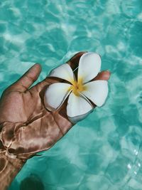 Low section of woman holding swimming pool