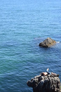 High angle view of shirtless man lying on rock in sea