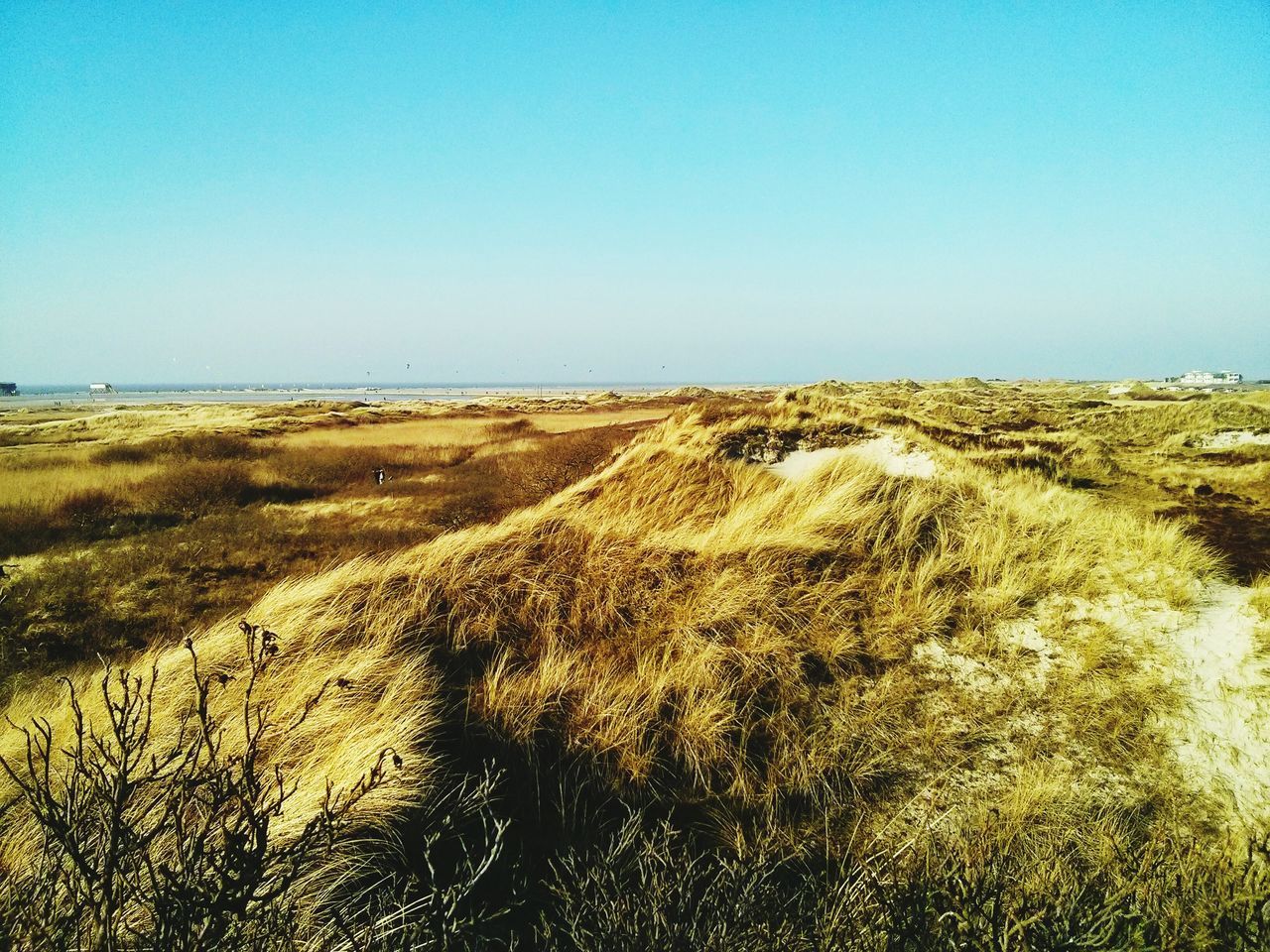 Peter-ording germany