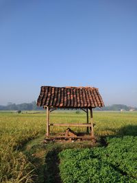 Barn on field against clear blue sky