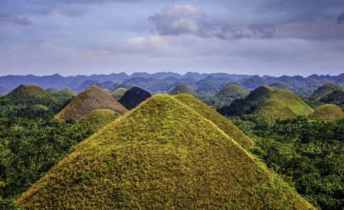 Scenic view of green landscape against sky