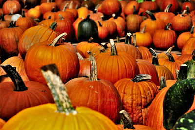 Full frame shot of pumpkins for sale at market stall