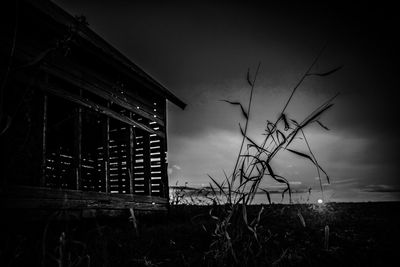 Silhouette plants by lake against sky