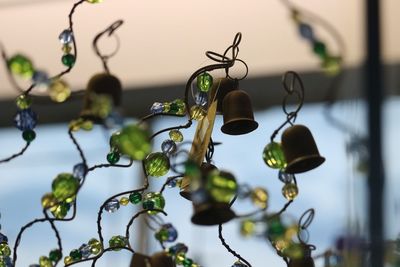 Close-up of plants against blurred background