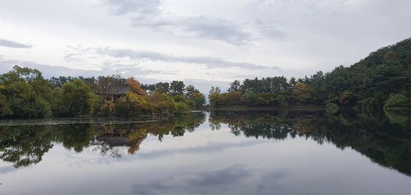 Scenic view of lake by trees against sky