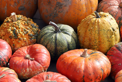 High angle view of pumpkins for sale at market