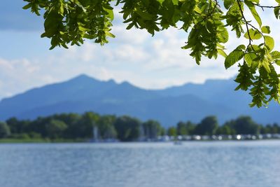 Scenic view of river against sky