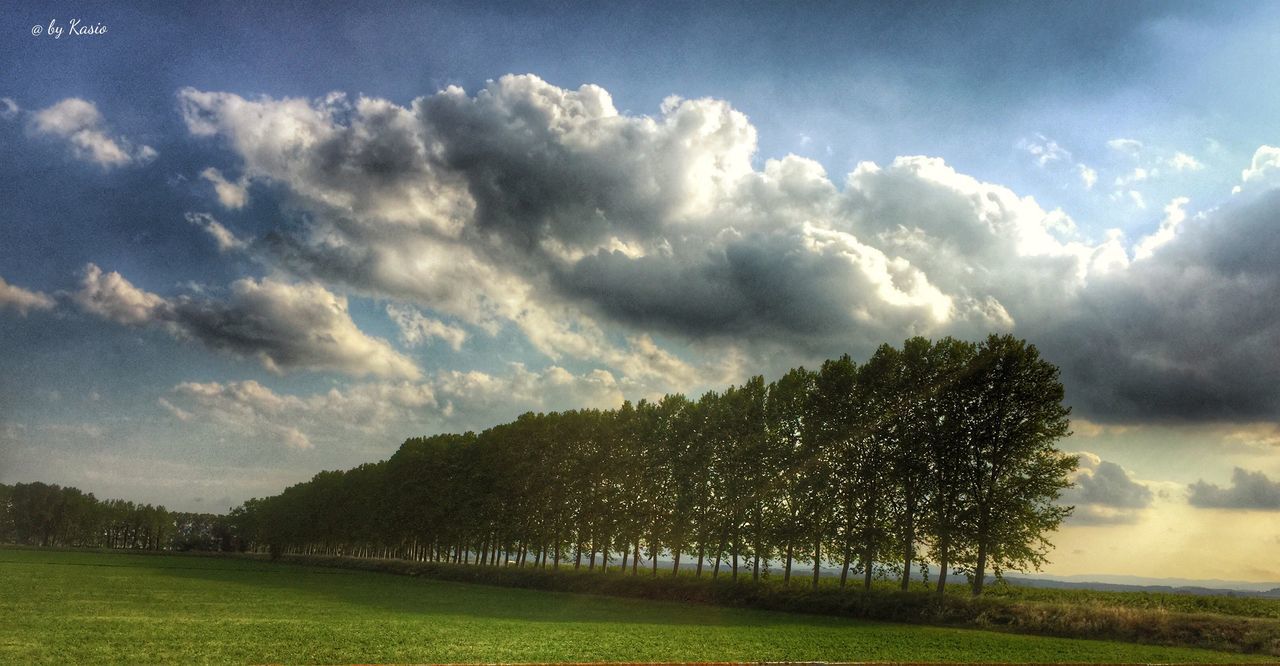 sky, landscape, tranquil scene, tree, cloud - sky, tranquility, grass, field, scenics, cloudy, beauty in nature, nature, grassy, cloud, growth, weather, non-urban scene, idyllic, green color, rural scene