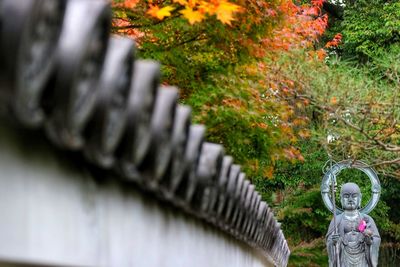 View of woman in grass