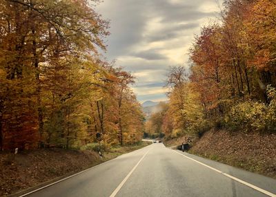 Empty road along trees