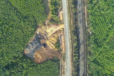 High angle view of tree trunk in forest