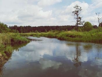 Scenic view of lake in forest against sky