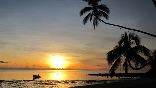 Silhouette of palm trees at sunset