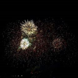 Low angle view of firework display at night