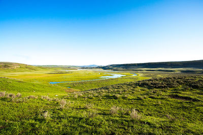 View of field against blue sky