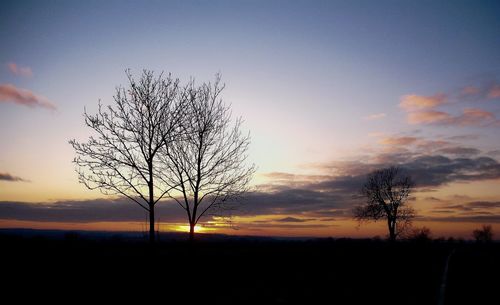 Silhouette bare tree on field against sky at sunset