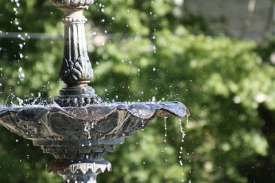 Close-up of water fountain