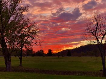 Silhouette trees on field against sky during sunset