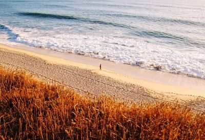 High angle view of person walking at beach during sunset