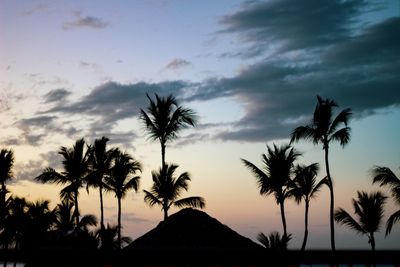 Silhouette palm trees against sky at sunset