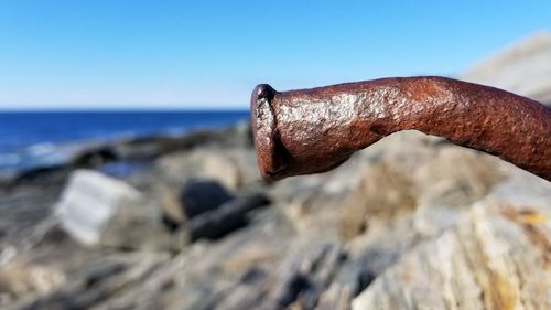 Close-up of rusty metal on rock at beach against sky