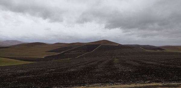 Scenic view of agricultural field against sky