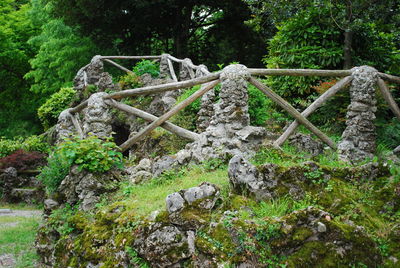 Stone wall amidst trees in forest