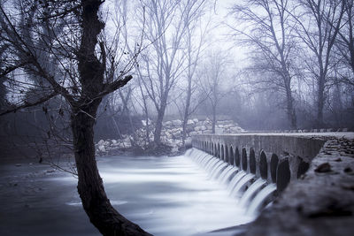 Bare trees by river against sky during winter