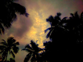 Low angle view of silhouette palm trees against sky during sunset