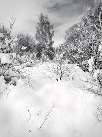 snow