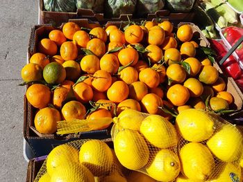 High angle view of oranges in market for sale