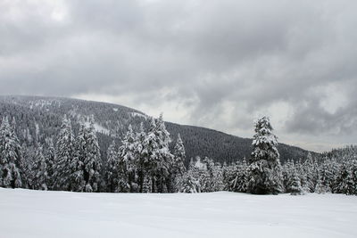 Scenic view of landscape against sky during winter