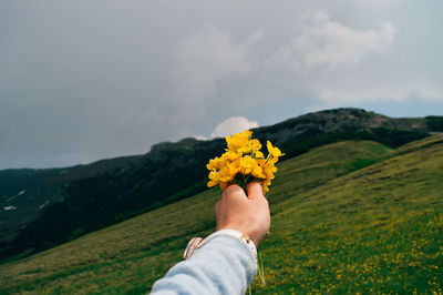 Cropped hand of person holding yellow flowers on mountain
