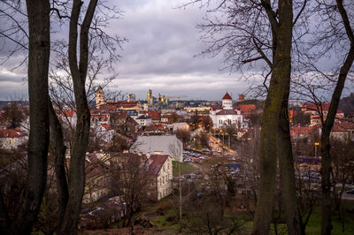 View of trees in town against sky