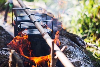 Close-up of bonfire on wooden log