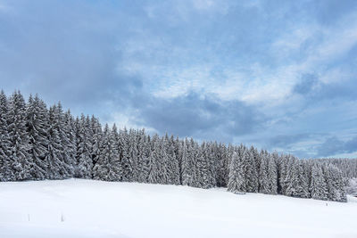 Snow covered land against sky