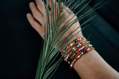 Cropped hand of person wearing bracelet by leaves against black background