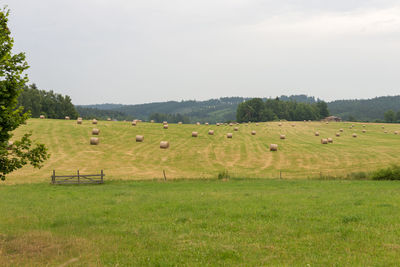 Hay bales on field against sky