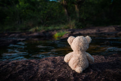 Close-up of teddy bear against lake