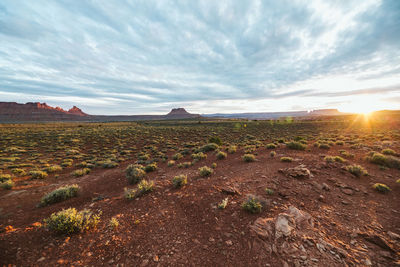 Morning light rises over the shrub desert and red rock of canyonlands