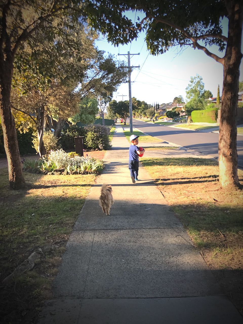 MAN WITH DOG WALKING IN THE BACKGROUND