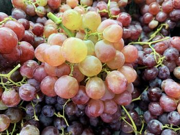 grape