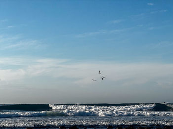 ocean